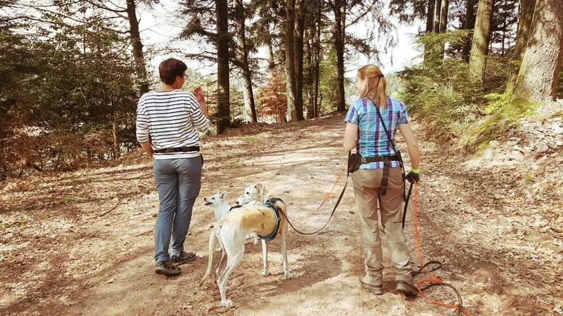 Coaching für Mensch mit Hund