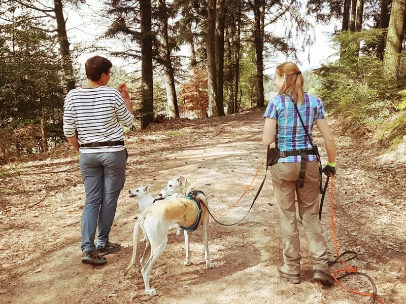 Coaching für Mensch mit Hund