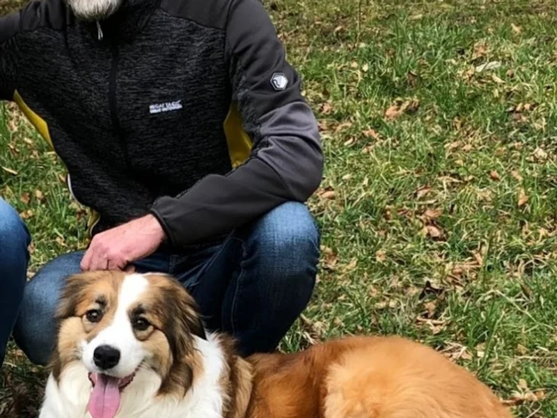 Hundeschule Mensch-Partner-Hund