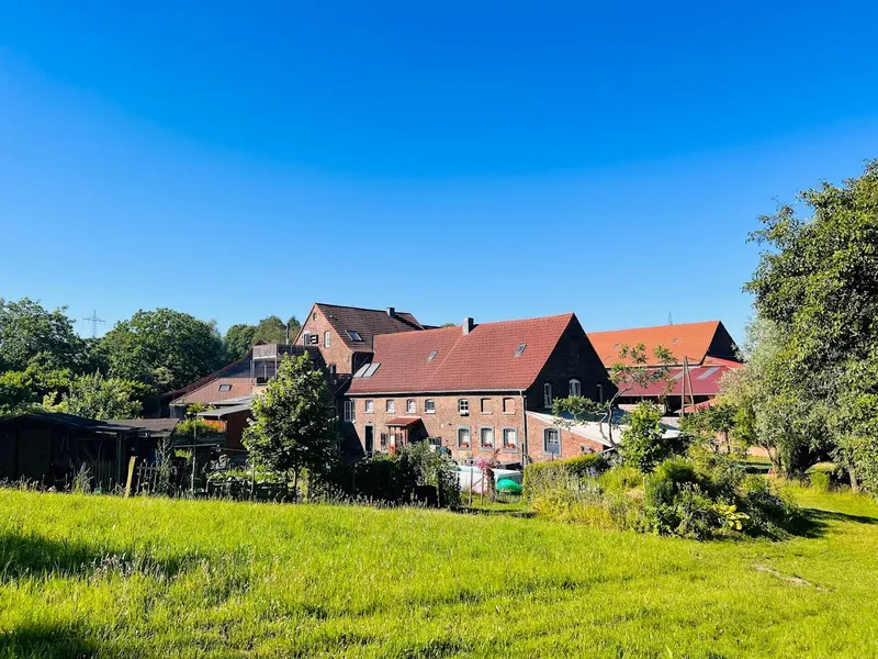 Doggino - Die Hundeschule ohne Leckerchen in Ratingen und Düsseldorf