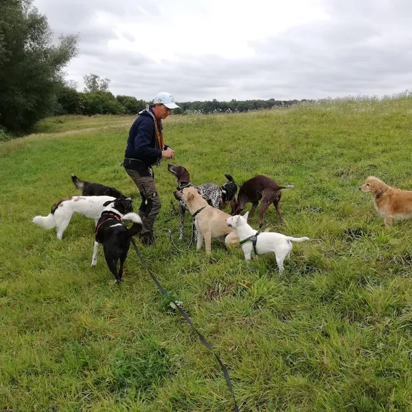 Die Hundefachfrau