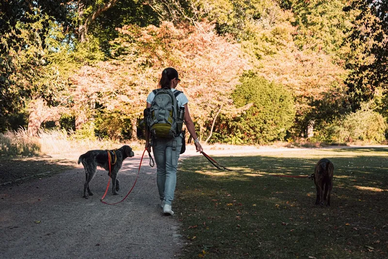 Hundetraining und Verhaltensberatung Birgit Streichan