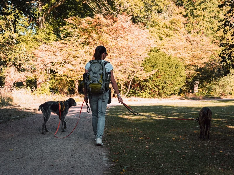 Hundetraining und Verhaltensberatung Birgit Streichan