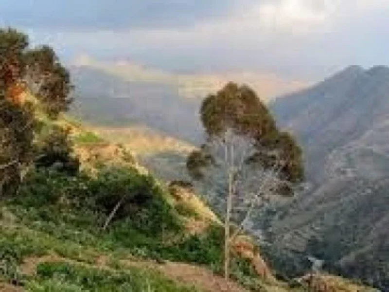 Mona Davis & Esayas Afeworki