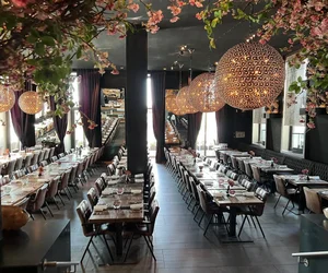 fischrestaurants in Düsseldorf