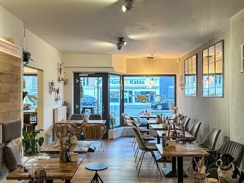 Paledo - Café & Deli