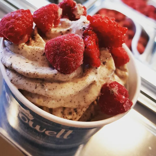froyowelt