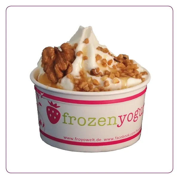 froyowelt