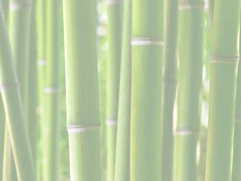 PRAXIS MARIO Praxis für Physiotherapie und Traditionelle Chinesische Medizin