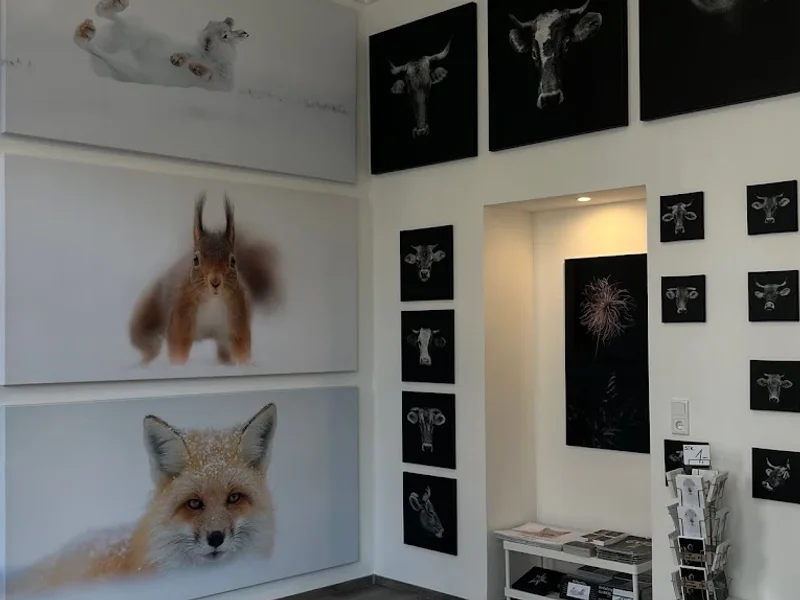 Galerie für Fotografie - Heimatfotograf