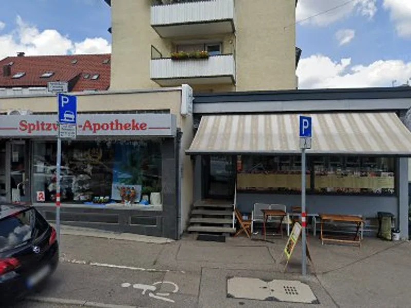 Dr. Med. Dent. Thomas Schneck