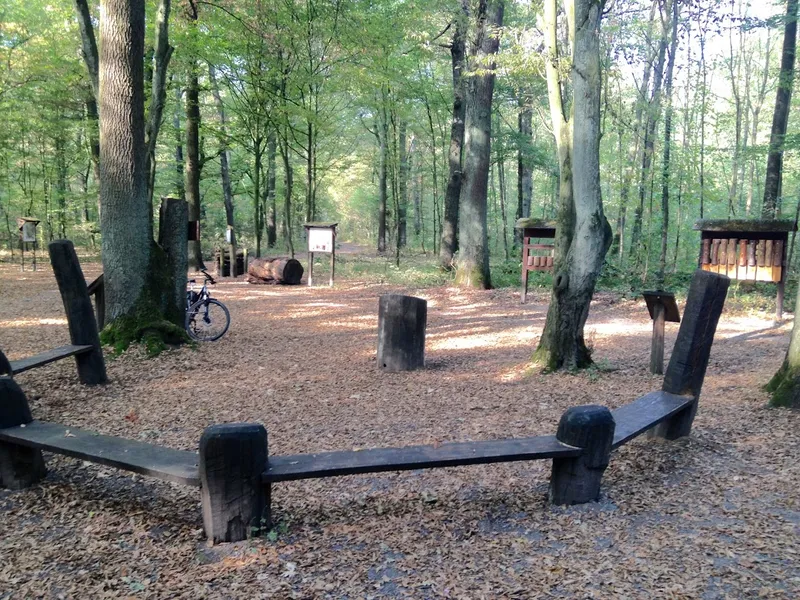 Waldklassenzimmer