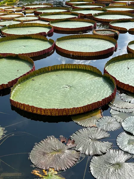 Maurischer Garten Stuttgart