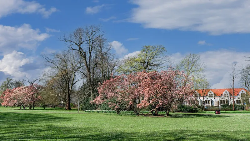 Volksgarten (Düsseldorf)