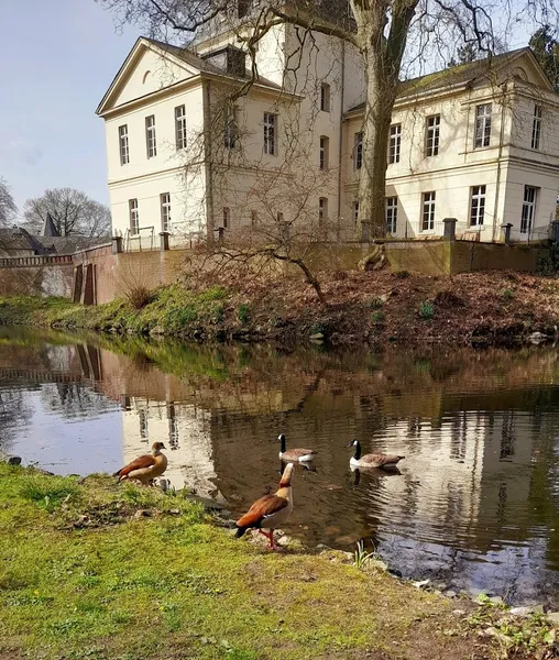 Insel im Schlosspark Eller