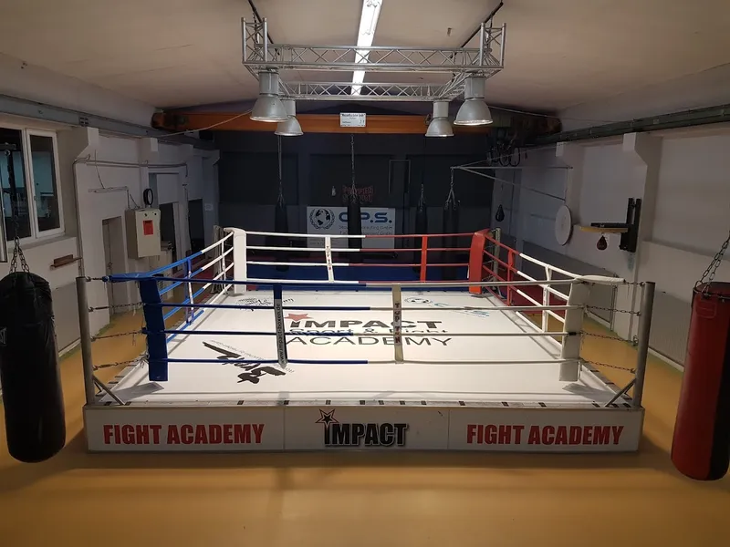 Impact Fight Academy