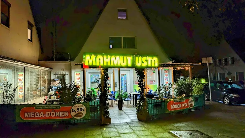 Mahmut Usta