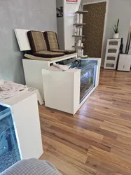 Liste 8 massage in Humboldt/Gremberg Köln⁠