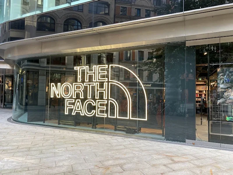 THE NORTH FACE