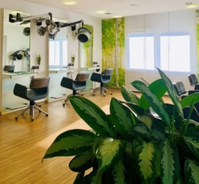 Haare Carmen GmbH Inh. C. Köhn