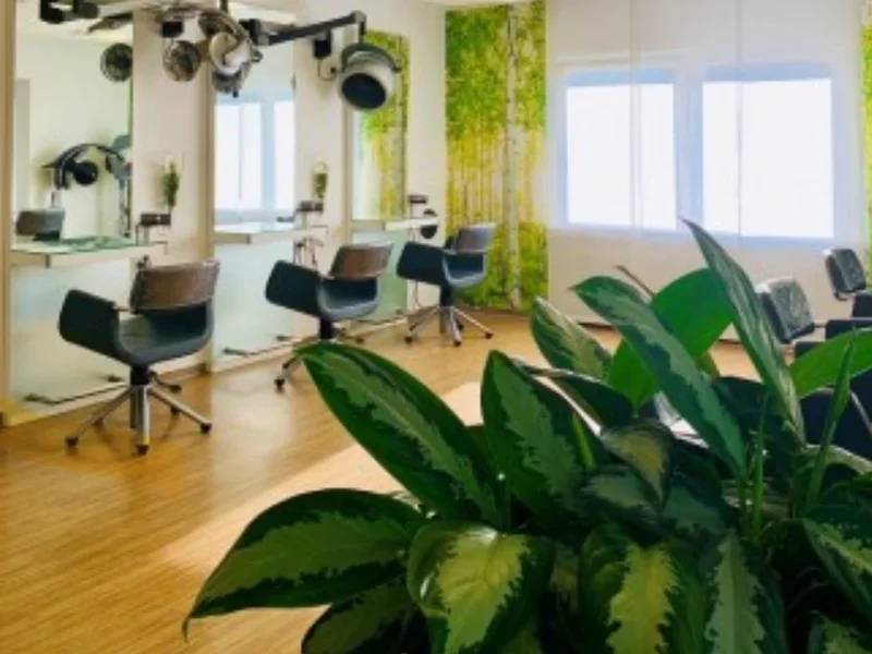 Haare Carmen GmbH Inh. C. Köhn