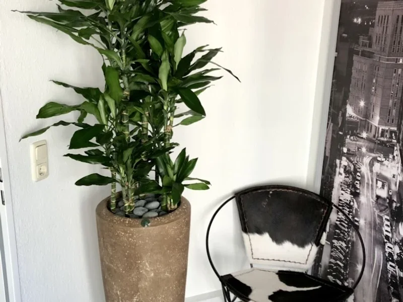 Zahnarzt Ebertplatz Köln Dr. (H) Jan-Laszlo Hauler, Dentitio, Ästhetik & Funktion