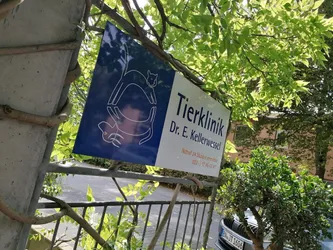 Liste 5 tierärzte in Klettenberg Köln⁠