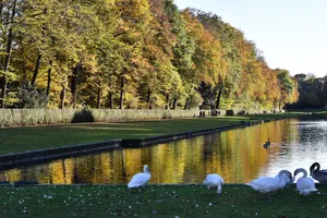 parks in Benrath Düsseldorf
