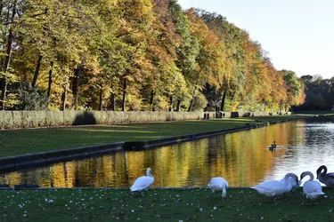 Liste 6 parks in Benrath Düsseldorf
