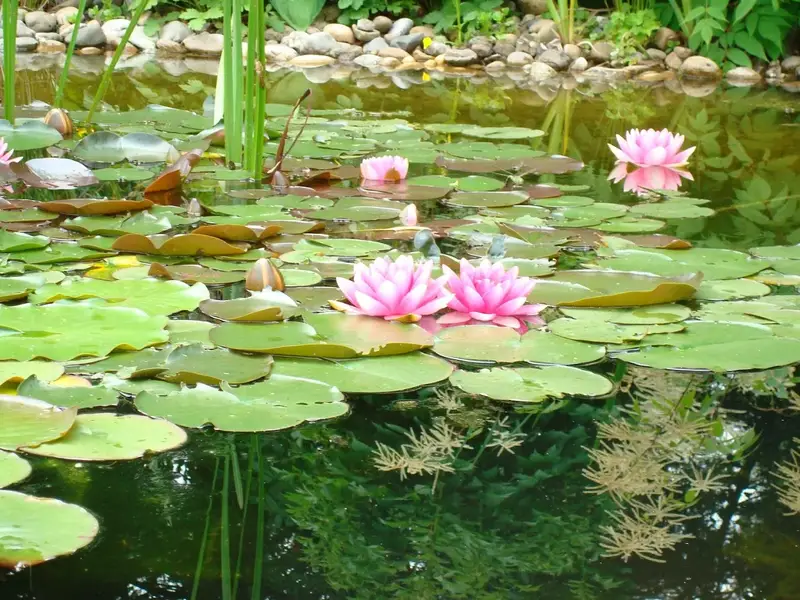 Ihr Profi für Permanent Make Up in Stuttgart