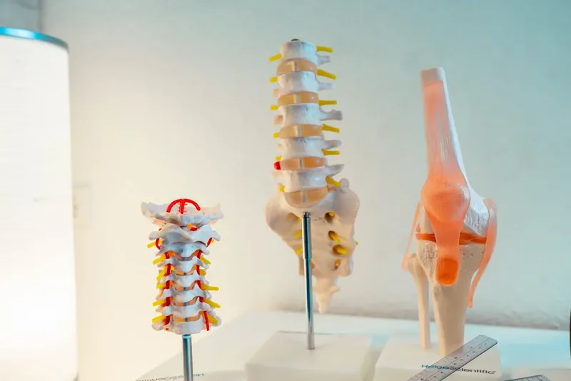 PhysioArt - Praxis für Physiotherapie