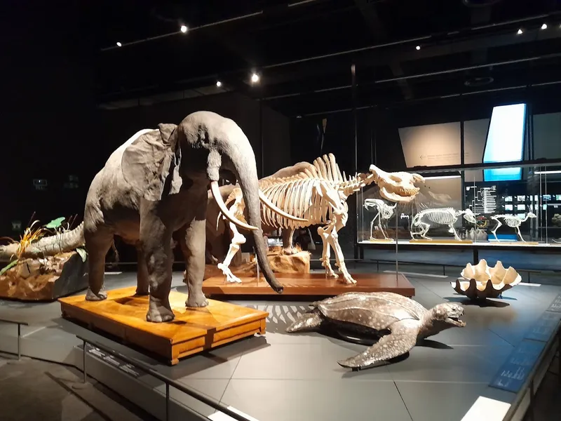 Museu de Ciències Naturals de Barcelona
