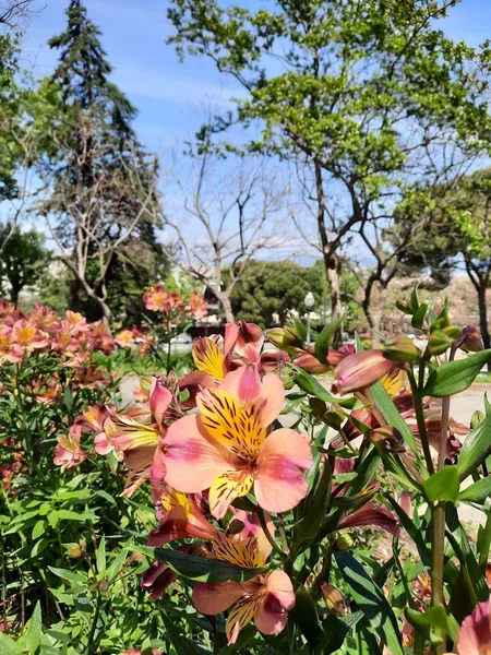 Jardines de Mossèn Cinto Verdaguer