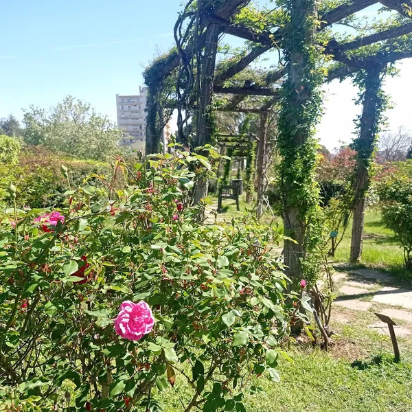 Parque de Cervantes