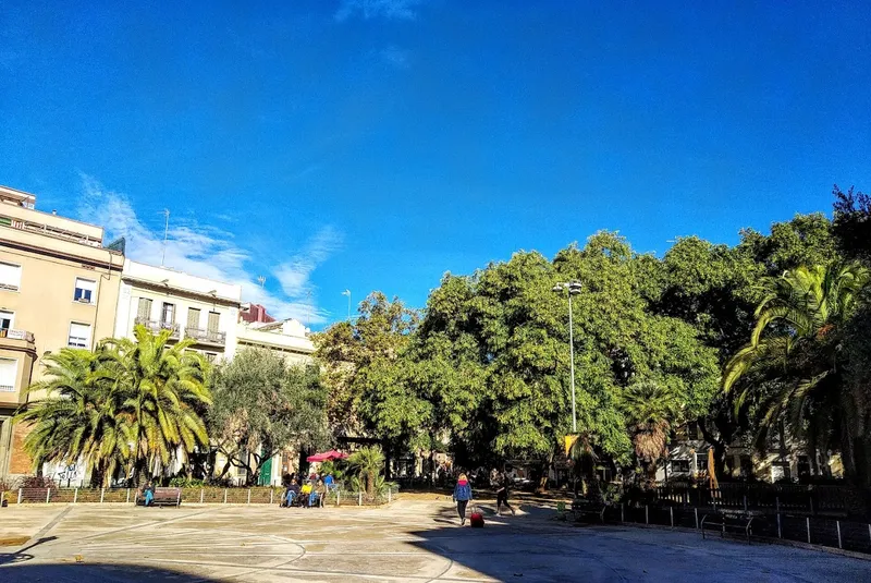 Plaza de las Palmeras