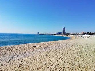 Los 7 Playas de Barcelona