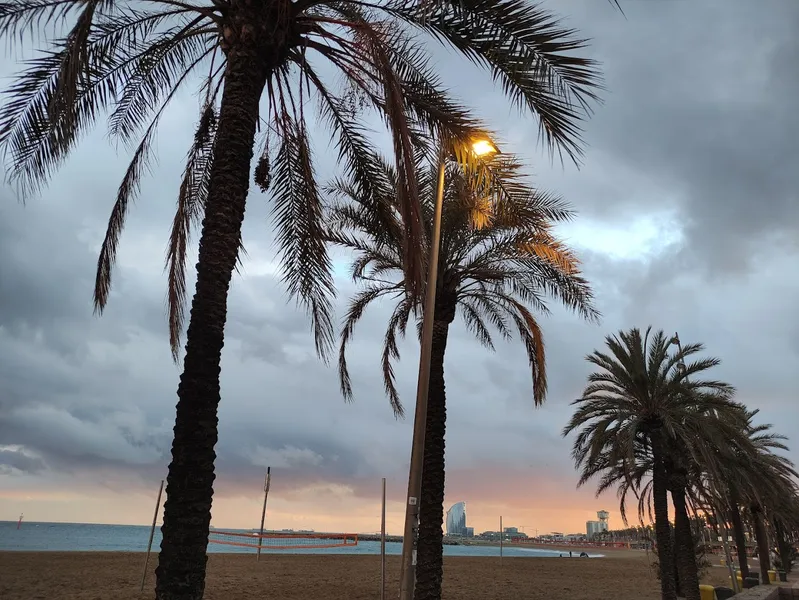Platja de la Barceloneta