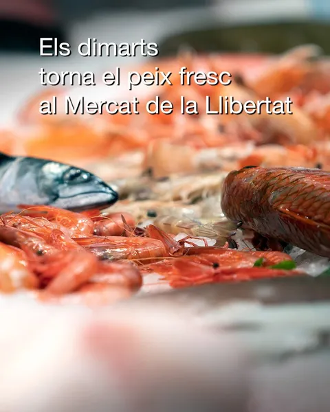 Mercat de la Llibertat