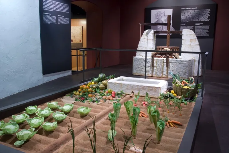 Museo de Historia de Cataluña