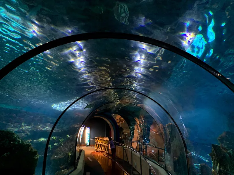 Aquarium de Barcelona