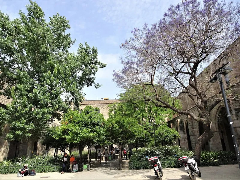 Antiguo Hospital de la Santa Cruz
