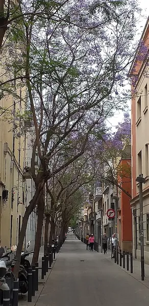 Cruce de calles