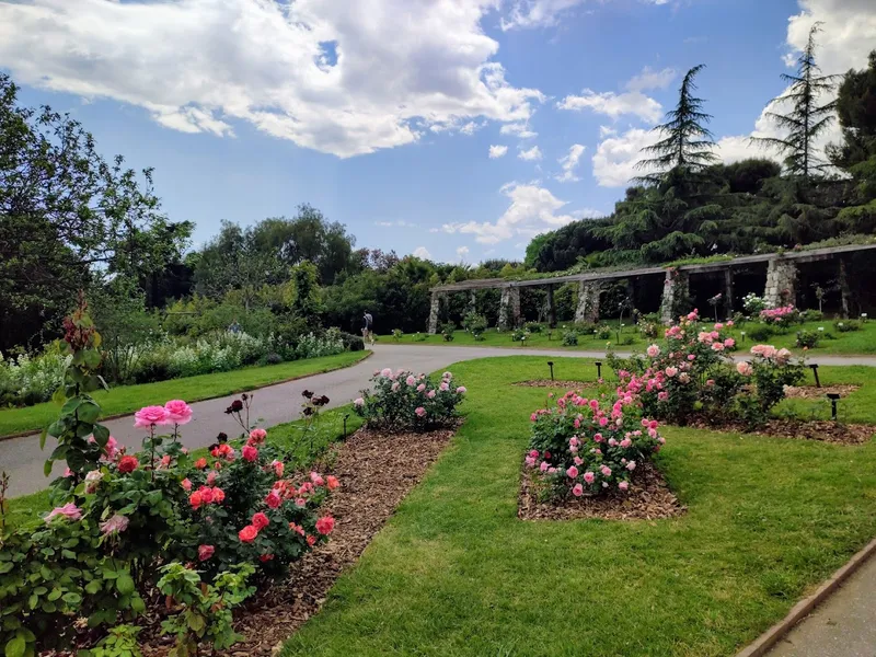 Parque y Rosaleda de Cervantes