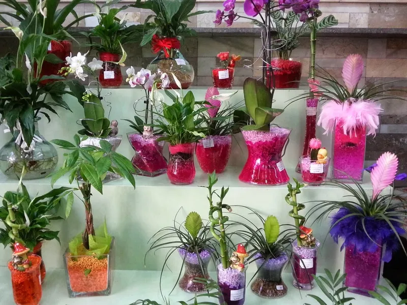 Floristeria Vilaplana
