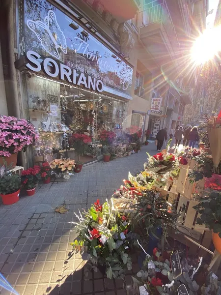 Floristeria Soriano