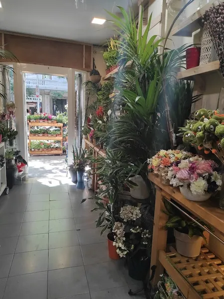 Floristeria Bambú
