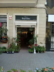 Los mejores 7 floristerías de El Poblenou Barcelona