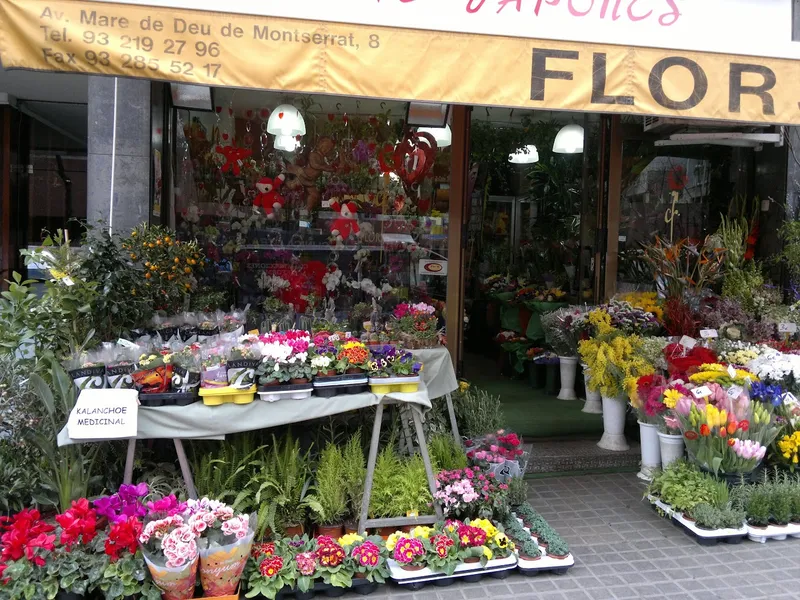 Floristeria ARTE JAPONÉS