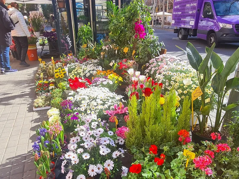 Quiosc de flors