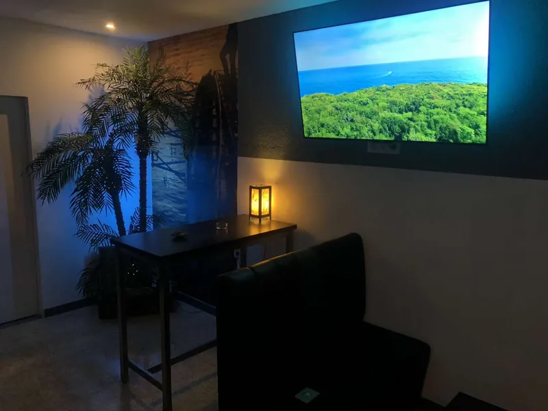 Palmera Barcelona